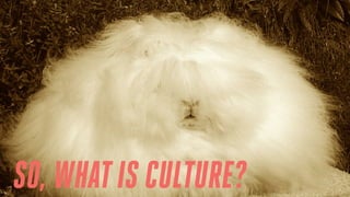 SO, WHATIS CULTURE?
 