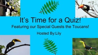 It’s Time for a Quiz!
Featuring our Special Guests the Toucans!
Hosted By:Lily
 