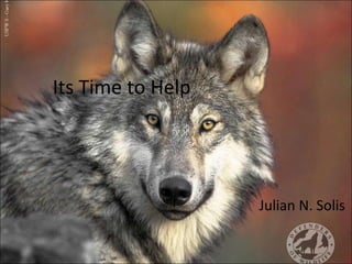Its Time to Help Julian N. Solis 
