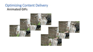 Optimizing Content Delivery
Animated GIFs
Video Tags are slow:
Video is not pre-loaded, will be last to download
<video au...