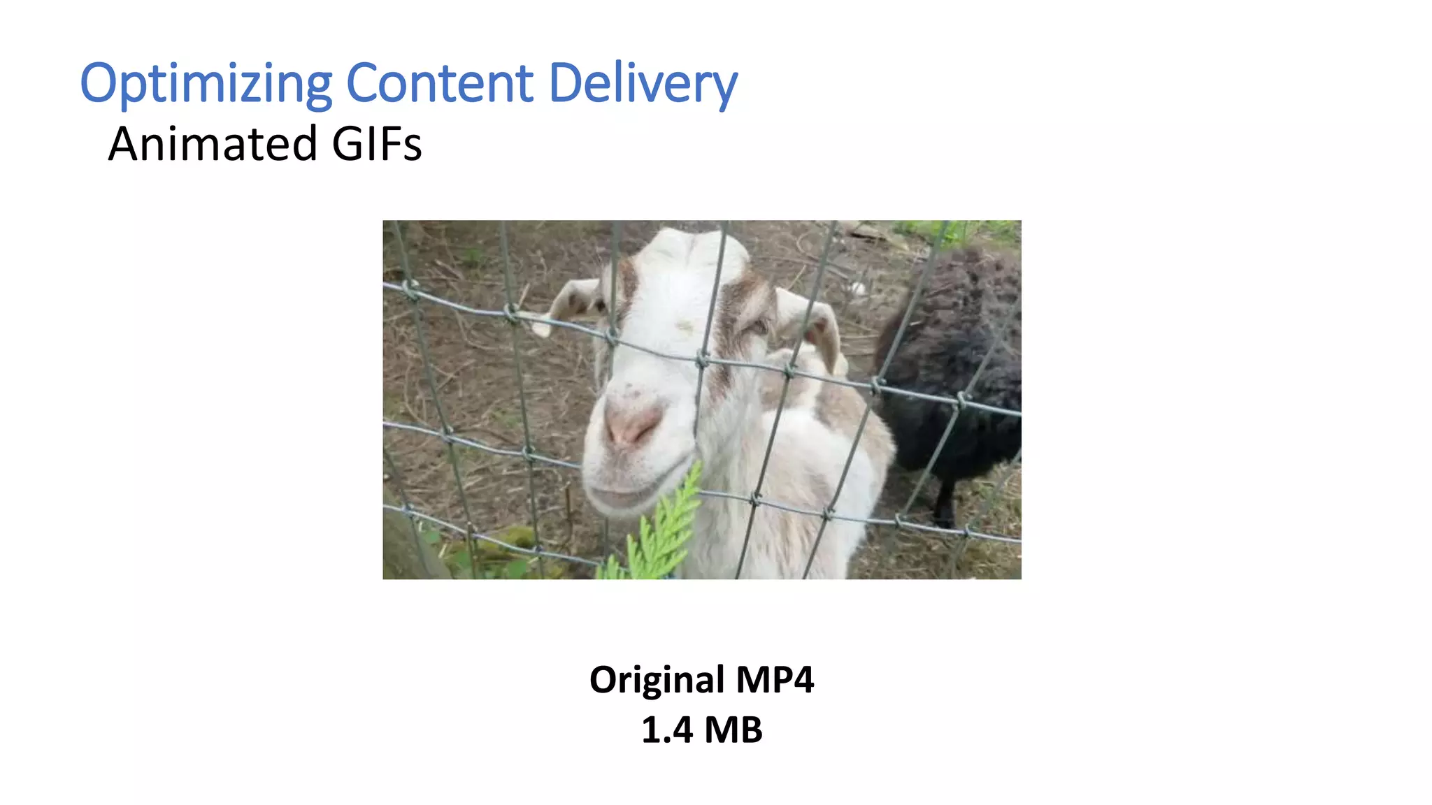 Optimizing Content Delivery
Animated GIFs
Original MP4
1.4 MB
 