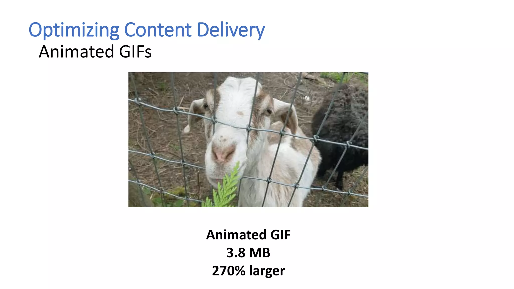 Optimizing Content Delivery
Animated GIFs
Animated GIF
3.8 MB
270% larger
 