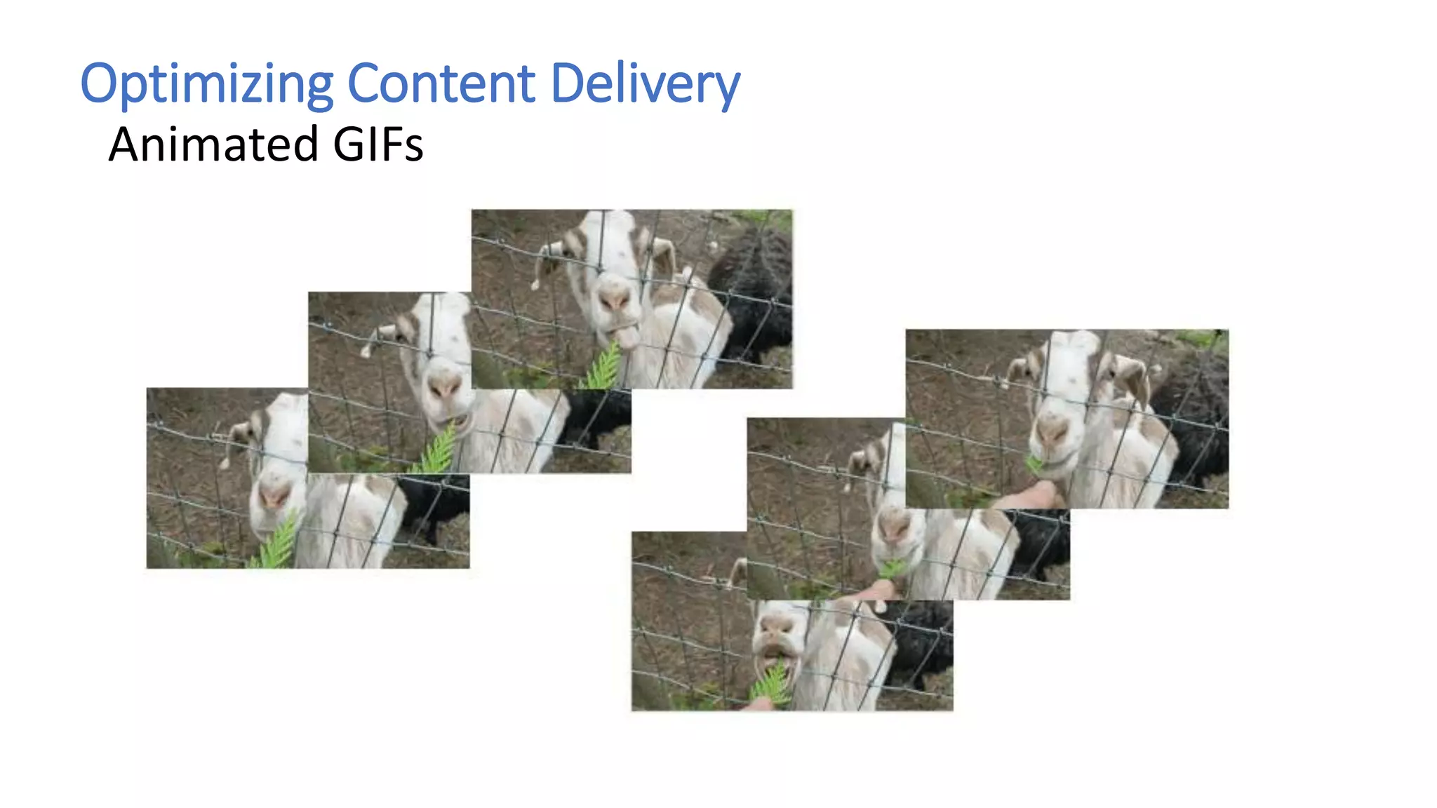 Optimizing Content Delivery
Animated GIFs
 