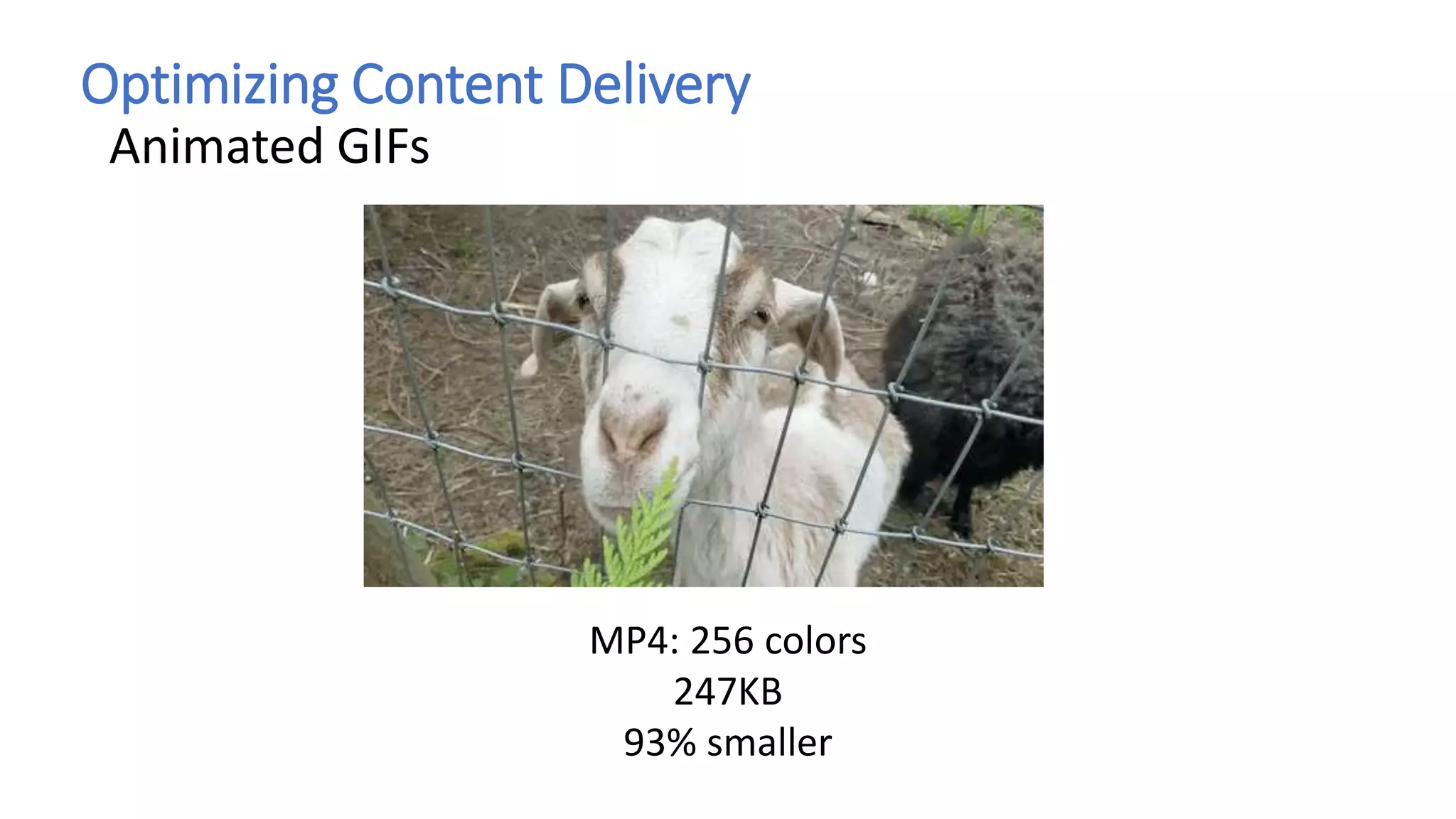 Optimizing Content Delivery
Animated GIFs
MP4: 256 colors
247KB
93% smaller
 