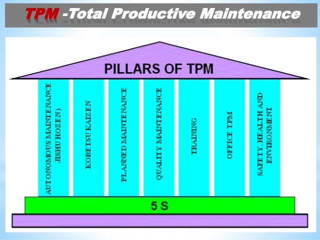 download the metabolic basis of