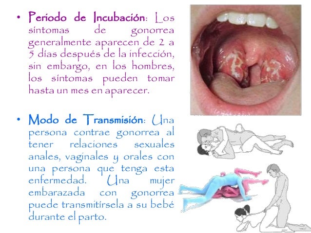 Con que ejercicio es posible aumentar el miembro