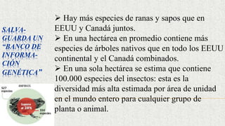 SALVA-
GUARDA UN
“BANCO DE
INFORMA-
CIÓN
GENÉTICA”
 Hay más especies de ranas y sapos que en
EEUU y Canadá juntos.
 En una hectárea en promedio contiene más
especies de árboles nativos que en todo los EEUU
continental y el Canadá combinados.
 En una sola hectárea se estima que contiene
100.000 especies del insectos: esta es la
diversidad más alta estimada por área de unidad
en el mundo entero para cualquier grupo de
planta o animal.
 