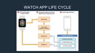 12
WATCH APP LIFE CYCLE
 