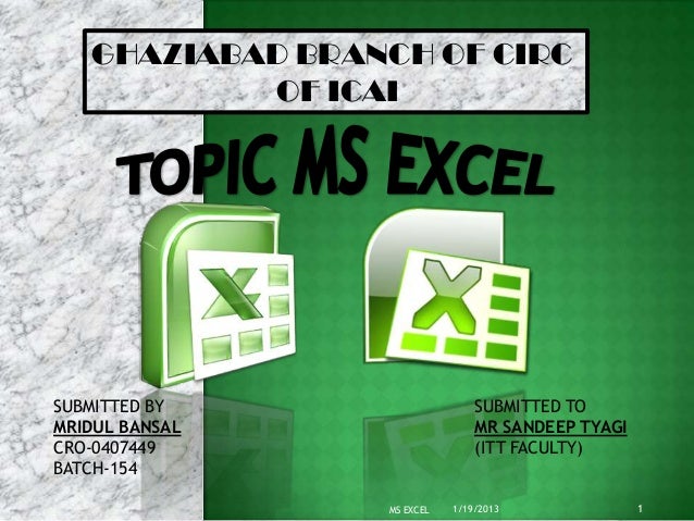 Ms Excel Ppt Presentation