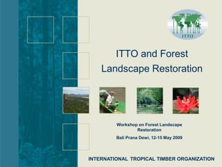 ITTO and Forest
    Landscape Restoration




         Workshop on Forest Landscape
                 Restoration
         Bali Prana Dewi, 12-15 May 2009



INTERNATIONAL TROPICAL TIMBER ORGANIZATION
 