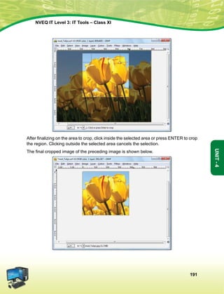 191
Unit-4
NVEQ IT Level 3: IT Tools – Class XI
After finalizing on the area to crop, click inside the selected area or press ENTER to crop
the region. Clicking outside the selected area cancels the selection.
The final cropped image of the preceding image is shown below.
 