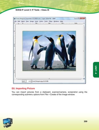 209
Unit-4
NVEQ IT Level 3: IT Tools – Class XI
E6. Importing Picture
You can import pictures from a clipboard, scanner/camera, screenshot using the
corresponding submenu options from File  Create of the Image window.
 