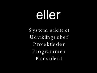 eller System arkitekt Udviklingschef Projektleder Programmør Konsulent 
