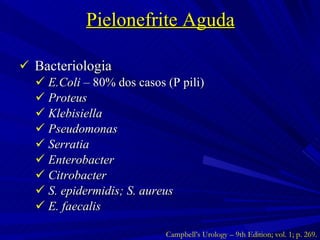 Pielonefrite Aguda Bacteriologia E.Coli  – 80% dos casos (P pili) Proteus Klebisiella Pseudomonas Serratia Enterobacter Citrobacter S. epidermidis; S. aureus E. faecalis Campbell’s Urology – 9th Edition; vol. 1; p. 269. 