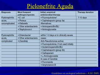 Pielonefrite Aguda Guidelines on urological infections – EAU 2009. 