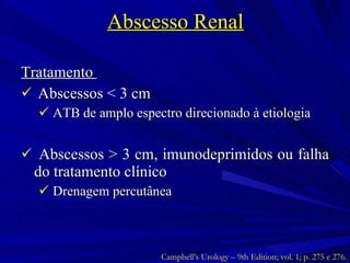 Abscesso Renal Tratamento  Abscessos < 3 cm ATB de amplo espectro direcionado à etiologia  Abscessos > 3 cm, imunodeprimidos ou falha do tratamento clínico Drenagem percutânea Campbell’s Urology – 9th Edition; vol. 1; p. 275 e 276. 