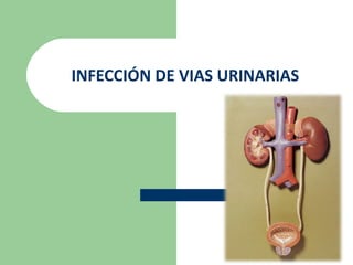 INFECCIÓN DE VIAS URINARIAS
 