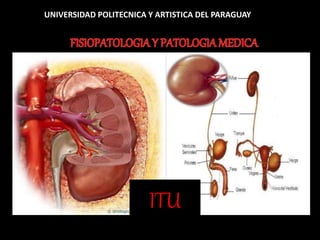ITU
UNIVERSIDAD POLITECNICA Y ARTISTICA DEL PARAGUAY
 