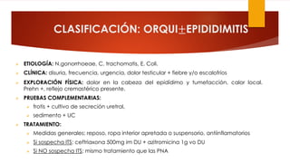 CLASIFICACIÓN: ORQUI±EPIDIDIMITIS
Ø ETIOLOGÍA: N.gonorrhoeae, C. trachomatis, E. Coli.
Ø CLÍNICA: disuria, frecuencia, urgencia, dolor testicular + fiebre y/o escalofríos
Ø EXPLORACIÓN FÍSICA: dolor en la cabeza del epidídimo y tumefacción, calor local.
Prehn +, reflejo cremastérico presente.
Ø PRUEBAS COMPLEMENTARIAS:
Ø frotis + cultivo de secreción uretral,
Ø sedimento + UC
Ø TRATAMIENTO:
Ø Medidas generales: reposo, ropa interior apretada o suspensorio, antiinflamatorios
Ø Si sospecha ITS: ceftriaxona 500mg im DU + azitromicina 1g vo DU
Ø Si NO sospecha ITS: mismo tratamiento que las PNA
 