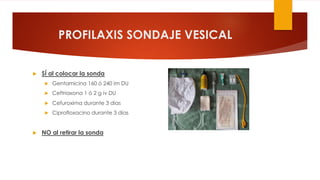 PROFILAXIS SONDAJE VESICAL
u SÍ al colocar la sonda
u Gentamicina 160 ó 240 im DU
u Ceftriaxona 1 ó 2 g iv DU
u Cefuroxima durante 3 días
u Ciprofloxacino durante 3 días
u NO al retirar la sonda
 
