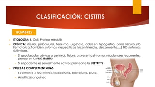 CLASIFICACIÓN: CISTITIS
Ø ETIOLOGÍA: E. Coli, Proteus mirabilis
Ø CLÍNICA: disuria, polaquiuria, tenesmo, urgencia, dolor en hipogastrio, orina oscura y/o
hematúrica. También síntomas inespecíficos (incontinencia, decaimiento,…) NO síntomas
sistémicos.
Ø Si asocia dolor pélvico o perineal, fiebre, o presenta síntomas miccionales recurrentes:
pensar en la PROSTATITIS
Ø Si el paciente es sexualmente activo: plantearse la URETRITIS
Ø PRUEBAS COMPLEMENTARIAS
Ø Sedimento ± UC: nitritos, leucocituria, bacteriuria, piuria.
Ø Analítica sanguínea
HOMBRES
 