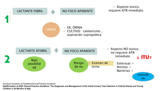 LACTANTE FEBRIL NO FOCO APARENTE
- Aspecto toxico,
requiere ATB inmediato
ORINA
- EX. ORINA
- CULTIVO: cateterismo ,
aspiración suprapúbica
1
2
LACTANTE AFEBRIL NO FOCO APARENTE
- Aspecto NO toxico,
no requiere ATB
inmediato
¿ ITU?
Baja
posibilid
ad
- Examen de
orina
Riesgo
de itu
Esterasas +
Nitritos +
Bacterias +
uroculti
vo
American Academy of PediatricsClinical Practice Guideline
Reaffirmation of AAP Clinical Practice Guideline: The Diagnosis and Management of the Initial Urinary Tract Infection in Febrile Infants and Young
Children 2–24 Months of Age
 