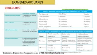 EXAMENES AUXILIARES
SEDIMENTO URINARIO
- Leucocitouria
- Cilindruria
- Bacteriuria
- Hematuria
- Densidad urinaria
UROCULTIVO
Protocolos Diagnóstico Terapeúticos de la AEP: Nefrología Pediátrica
 