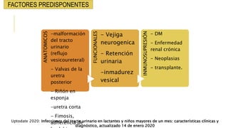 FACTORES PREDISPONENTES
ANATOMICOS
-malformación
del tracto
urinario
(reflujo
vesicoureteral)
- Valvas de la
uretra
posterior
- Riñón en
esponja
-uretra corta
- Fimosis,
adherencia de
FUNCIONALES
- Vejiga
neurogenica
- Retención
urinaria
-inmadurez
vesical
INMUNOSUPRESIÓN
- DM
- Enfermedad
renal crónica
- Neoplasias
- transplante.
Uptodate 2020: Infecciones del tracto urinario en lactantes y niños mayores de un mes: características clínicas y
diagnóstico, actualizado 14 de enero 2020
 