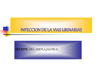 INFECCION DE LA VIAS URINARIAS
DOCENTE: DRA. SHEYLA JALDIN A.
 