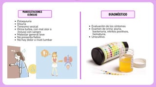 Pyuria Pregnancy Comprehensive Overview of Urinary Tract Infections in Pregnancy: Causes ...