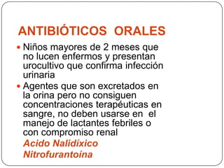 Ecografía Renal