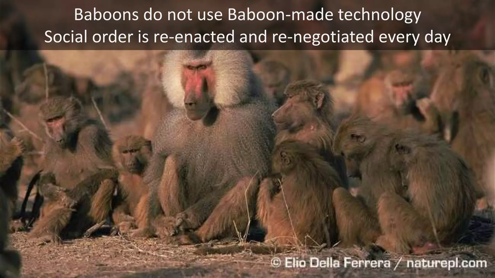 Baboons do not use Baboon-made technology
Social order is re-enacted and re-negotiated every day
 