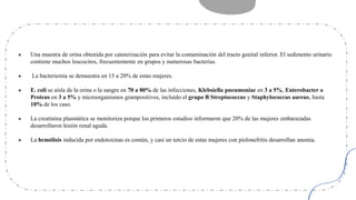 ● Una muestra de orina obtenida por cateterización para evitar la contaminación del tracto genital inferior. El sedimento urinario
contiene muchos leucocitos, frecuentemente en grupos y numerosas bacterias.
● La bacteriemia se demuestra en 15 a 20% de estas mujeres.
● E. coli se aísla de la orina o la sangre en 70 a 80% de las infecciones, Klebsiella pneumoniae en 3 a 5%, Enterobacter o
Proteus en 3 a 5% y microorganismos grampositivos, incluido el grupo B Streptococcus y Staphylococcus aureus, hasta
10% de los caso.
● La creatinina plasmática se monitoriza porque los primeros estudios informaron que 20% de las mujeres embarazadas
desarrollaron lesión renal aguda.
● La hemólisis inducida por endotoxinas es común, y casi un tercio de estas mujeres con pielonefritis desarrollan anemia.
 