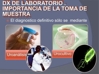 DX DE LABORATORIO
DX DE LABORATORIO ..
IMPORTANCIA DE LA TOMA DE
IMPORTANCIA DE LA TOMA DE
MUESTRA
MUESTRA


El diagnostico definitivo sólo se mediante

Uroanálisis

Urocultivo

 