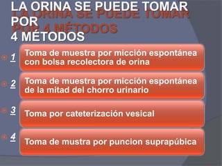 LA ORINA SE PUEDE TOMAR
LA ORINA SE PUEDE TOMAR
POR
POR 4 MÉTODOS
4 MÉTODOS


1 Toma de muestra por micción espontánea



2 Toma de muestra por micción espontánea



3 Toma por cateterización vesical



4

con bolsa recolectora de orina
de la mitad del chorro urinario

Toma de mustra por puncion suprapúbica

 