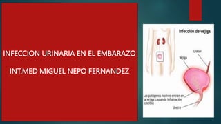 INFECCION URINARIA EN EL EMBARAZO
INT.MED MIGUEL NEPO FERNANDEZ
 