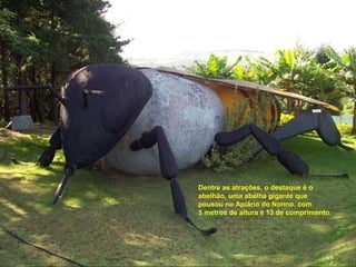 Dentre as atrações, o destaque é o abelhão, uma abelha gigante que pousou no Apíário do Nonno, com 3 metros de altura e 13 de comprimento. 