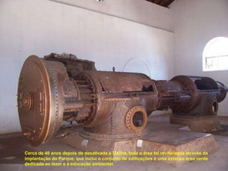 Cerca de 40 anos depois de desativada a  Usina , toda a área foi revitalizada através da implantação do Parque, que inclui o conjunto de edificações e uma extensa área verde dedicada ao lazer e à educação ambiental.  