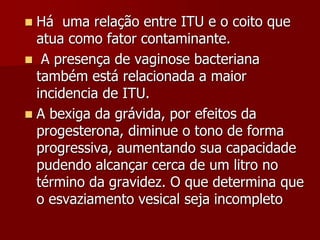  Há uma relação entre ITU e o coito que
atua como fator contaminante.
 A presença de vaginose bacteriana
também está relacionada a maior
incidencia de ITU.
 A bexiga da grávida, por efeitos da
progesterona, diminue o tono de forma
progressiva, aumentando sua capacidade
pudendo alcançar cerca de um litro no
término da gravidez. O que determina que
o esvaziamento vesical seja incompleto
 