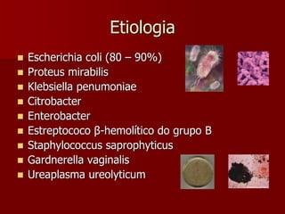 Etiologia
 Escherichia coli (80 – 90%)
 Proteus mirabilis
 Klebsiella penumoniae
 Citrobacter
 Enterobacter
 Estreptococo β-hemolítico do grupo B
 Staphylococcus saprophyticus
 Gardnerella vaginalis
 Ureaplasma ureolyticum
 