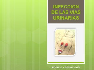 INFECCION
DE LAS VIAS
URINARIAS
MODULO – NEFROLOGIA
 