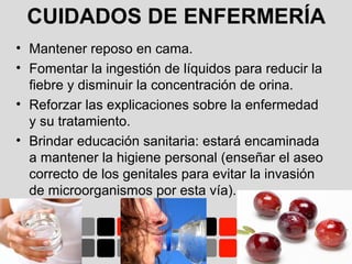 • Mantener reposo en cama.
• Fomentar la ingestión de líquidos para reducir la
fiebre y disminuir la concentración de orina.
• Reforzar las explicaciones sobre la enfermedad
y su tratamiento.
• Brindar educación sanitaria: estará encaminada
a mantener la higiene personal (enseñar el aseo
correcto de los genitales para evitar la invasión
de microorganismos por esta vía).
CUIDADOS DE ENFERMERÍA
 