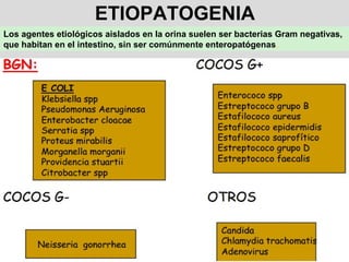 ETIOPATOGENIA
Los agentes etiológicos aislados en la orina suelen ser bacterias Gram negativas,
que habitan en el intestino, sin ser comúnmente enteropatógenas,
 