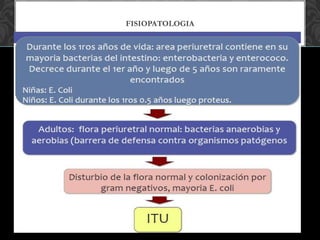 FISIOPATOLOGIA
 
