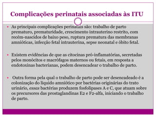 Complicações perinatais associadas às ITU
 As principais complicações perinatais são: trabalho de parto
prematuro, prematuridade, crescimento intrauterino restrito, com
recém-nascidos de baixo peso, ruptura prematura das membranas
amnióticas, infecção fetal intrauterina, sepse neonatal e óbito fetal.
 Existem evidências de que as citocinas pró-inflamatórias, secretadas
pelos monócitos e macrófagos maternos ou fetais, em resposta a
endotoxinas bacterianas, podem desencadear o trabalho de parto.
 Outra forma pela qual o trabalho de parto pode ser desencadeado é a
colonização do líquido amniótico por bactérias originárias do trato
urinário, essas bactérias produzem fosfolipases A e C, que atuam sobre
os precursores das prostaglandinas E2 e F2-alfa, iniciando o trabalho
de parto.
 