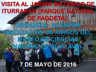 7 DE MAYO DE 2016
 