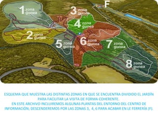 ESQUEMA QUE MUESTRA LAS DISTINTAS ZONAS EN QUE SE ENCUENTRA DIVIDIDO EL JARDÍN
PARA FACILITAR LA VISITA DE FORMA COHERENTE.
EN ESTE ARCHIVO INCLUIREMOS ALGUNAS PLANTAS DEL ENTORNO DEL CENTRO DE
INFORMACIÓN; DESCENDEREMOS POR LAS ZONAS 3, 4, 6 PARA ACABAR EN LE FERRERÍA (F).
F
 