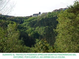 DURANTE EL TRAYECTO PODEMOS APRECIAR BONITAS PANORÁMICAS DEL
ENTORNO. POR EJEMPLO, AIA ARRIBA EN LA COLINA.
 
