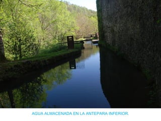 AGUA ALMACENADA EN LA ANTEPARA INFERIOR.
 