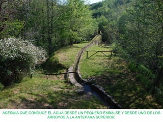 ACEQUIA QUE CONDUCE EL AGUA DESDE UN PEQUEÑO EMBALSE Y DESDE UNO DE LOS
ARROYOS A LA ANTEPARA SUPERIOR.
 